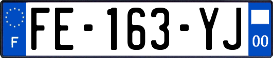 FE-163-YJ