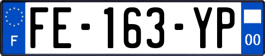 FE-163-YP