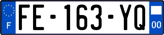 FE-163-YQ
