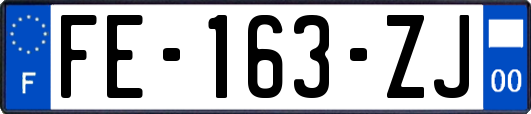 FE-163-ZJ