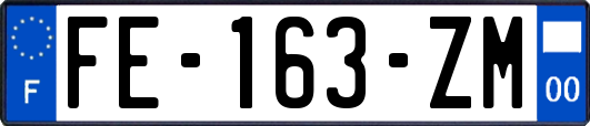 FE-163-ZM