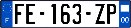 FE-163-ZP