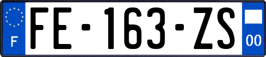 FE-163-ZS