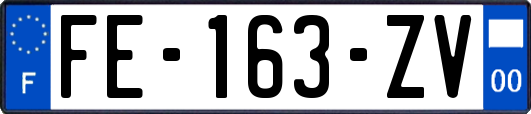 FE-163-ZV