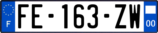 FE-163-ZW