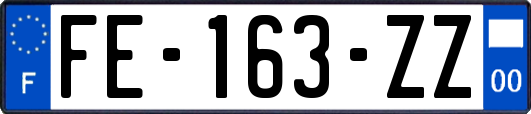 FE-163-ZZ