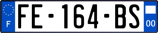 FE-164-BS