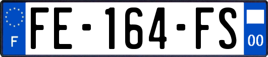 FE-164-FS