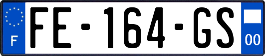 FE-164-GS
