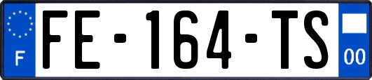 FE-164-TS