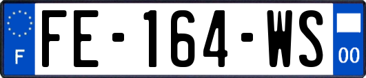 FE-164-WS