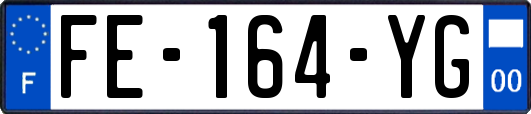 FE-164-YG