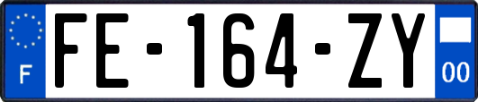 FE-164-ZY