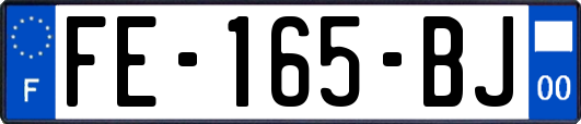 FE-165-BJ