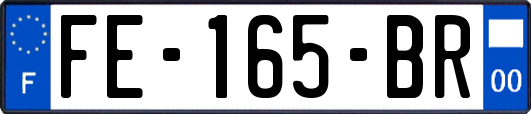 FE-165-BR