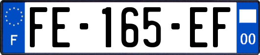 FE-165-EF