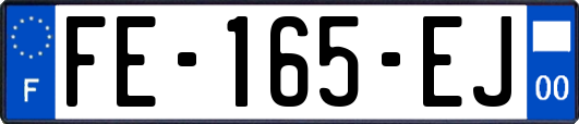 FE-165-EJ