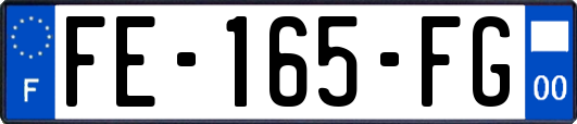 FE-165-FG