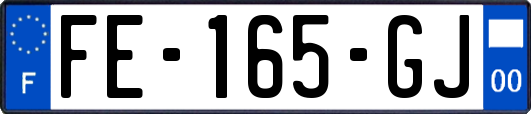 FE-165-GJ
