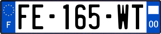 FE-165-WT