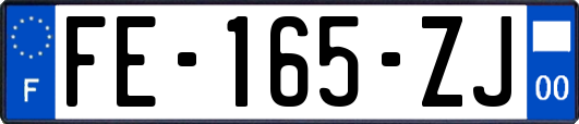 FE-165-ZJ