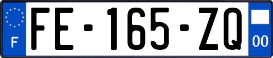 FE-165-ZQ