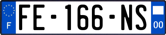 FE-166-NS