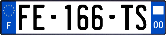FE-166-TS