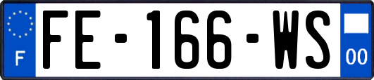 FE-166-WS