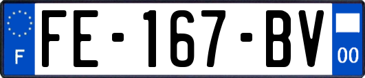 FE-167-BV