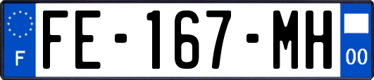FE-167-MH