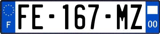 FE-167-MZ
