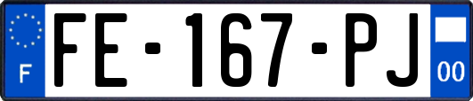 FE-167-PJ