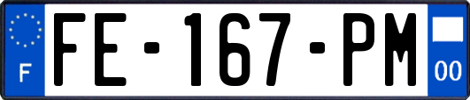 FE-167-PM