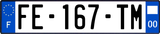 FE-167-TM