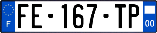 FE-167-TP