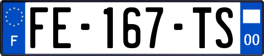FE-167-TS
