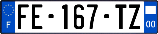 FE-167-TZ