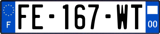 FE-167-WT