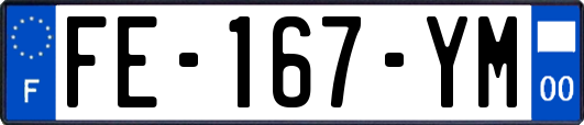 FE-167-YM