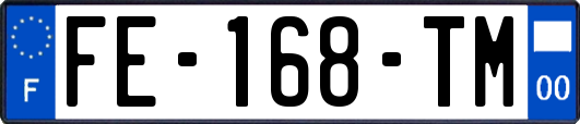 FE-168-TM
