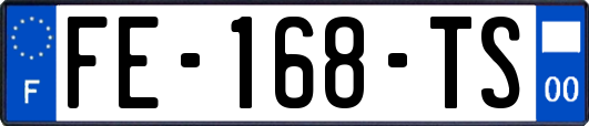 FE-168-TS