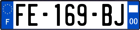 FE-169-BJ