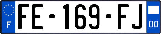 FE-169-FJ