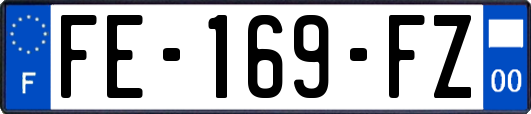 FE-169-FZ