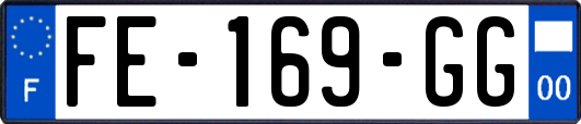 FE-169-GG