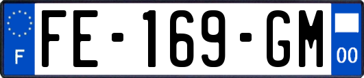 FE-169-GM