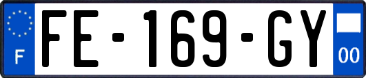 FE-169-GY