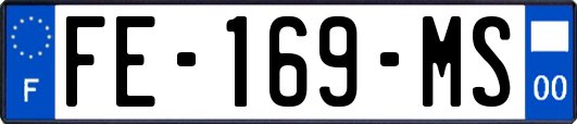 FE-169-MS