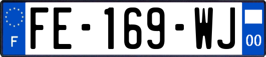 FE-169-WJ